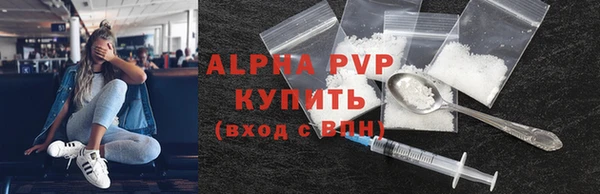 шишки Корсаков
