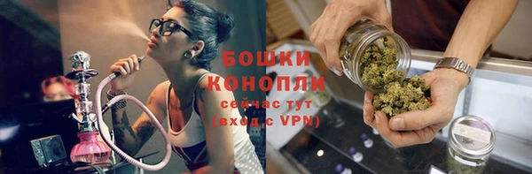шишки Корсаков