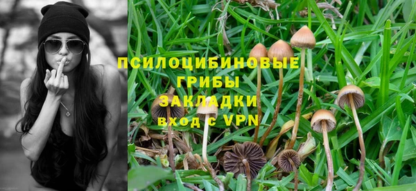 ALPHA PVP Костерёво