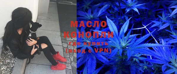 шишки Корсаков
