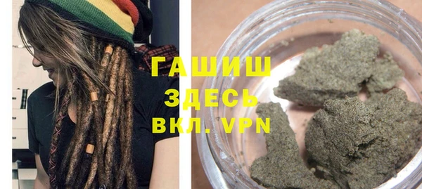 шишки Корсаков