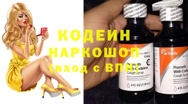 шишки Корсаков