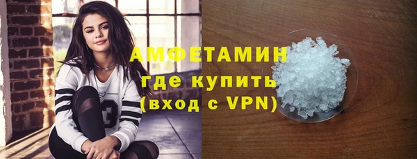шишки Корсаков