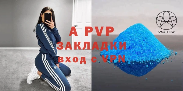 шишки Корсаков