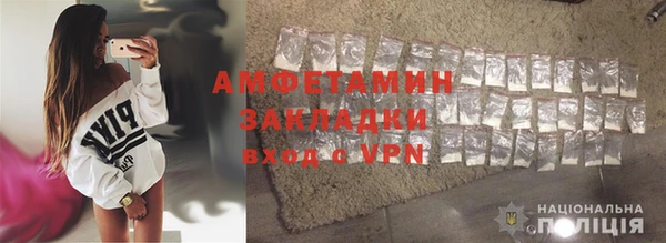 шишки Корсаков