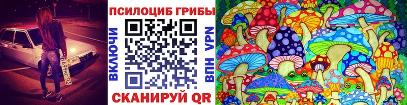 mega   Котово  Псилоцибиновые грибы Magic Shrooms 
